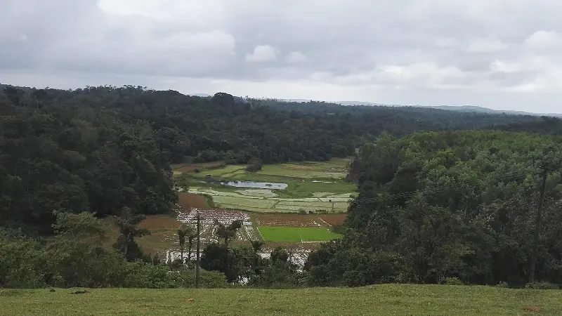 Green hills of Sakleshpura
